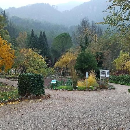 Alojamientos Bellavista Кото Риос Екстериор снимка