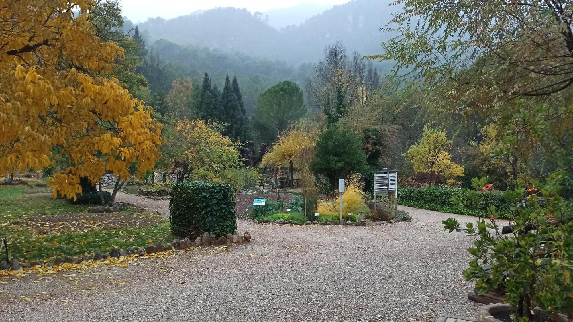 Alojamientos Bellavista Кото Риос Екстериор снимка